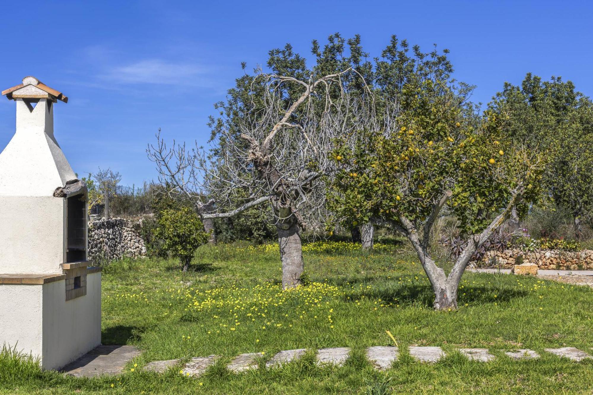 Finca Sa Torreta Santa Margalida Exteriér fotografie